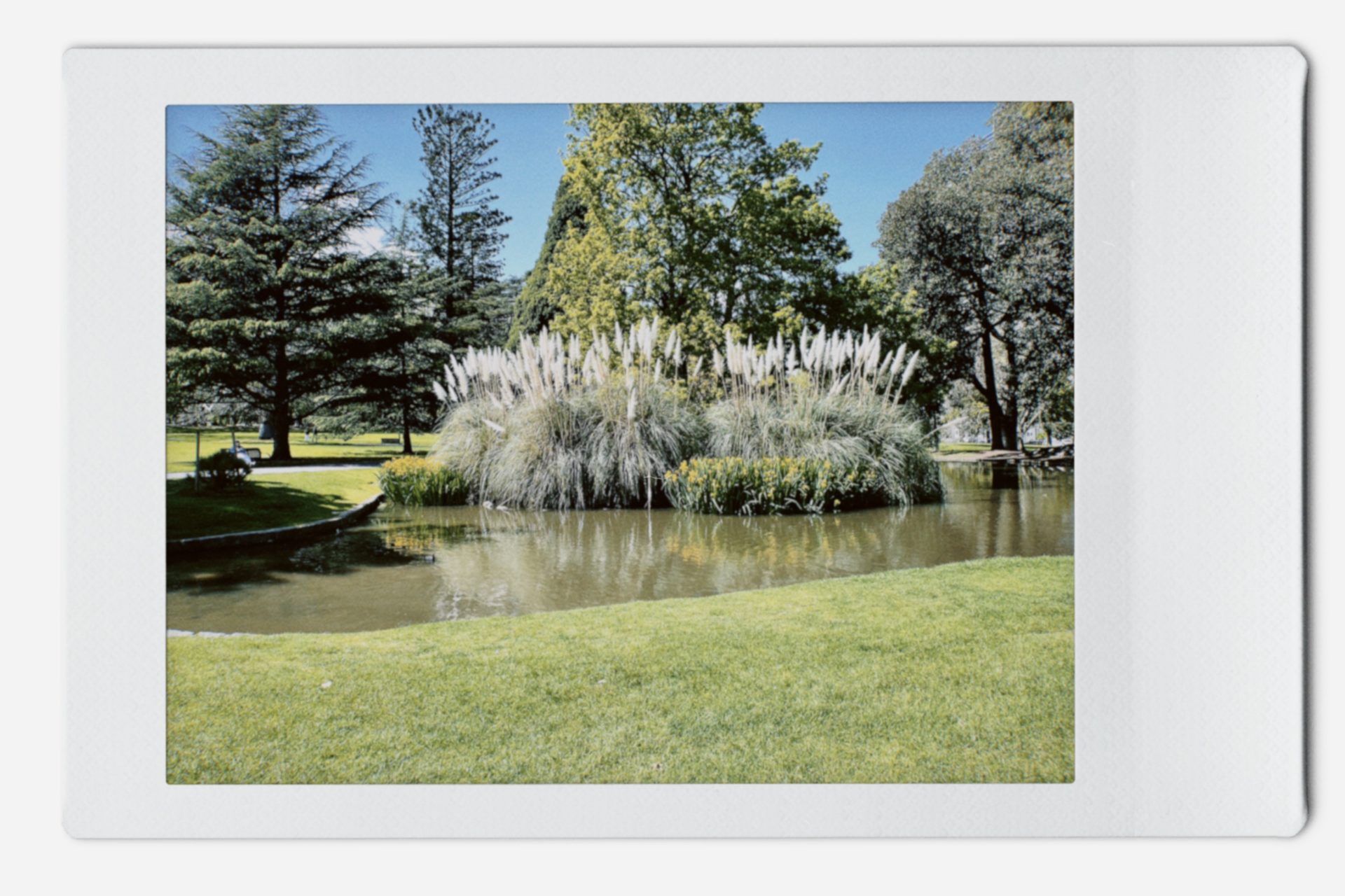 メルボルン散歩のお勧めルート2。カールトン庭園の様子。