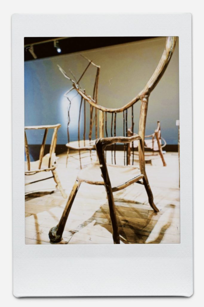 コピペで簡単・旅行プラン -タスマニア編-タスマニア博物館の展示の様子