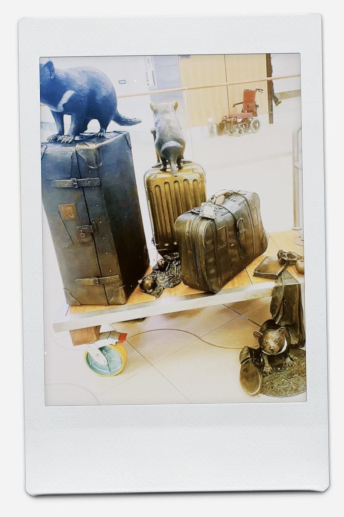 タスマニア空港にあるオブジェ