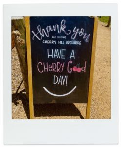 オーストラリアでさくらんぼ狩り。Have a cherry good day!