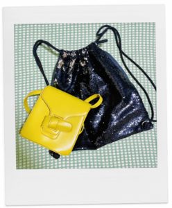 ショルダーバックとナップサック。