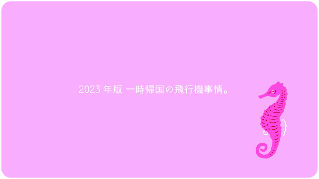 2023年版 一時帰国の飛行機事情。