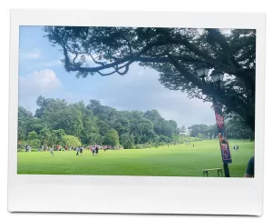 イスタナ敷地内の様子